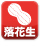 落花生