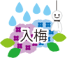 入梅