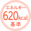 エネルギー500kcal基準