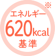 エネルギー620kcal基準※1